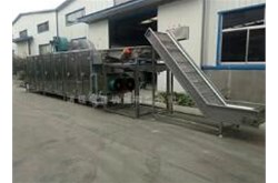 果蔬清洗機(jī)可以清洗哪些果蔬？